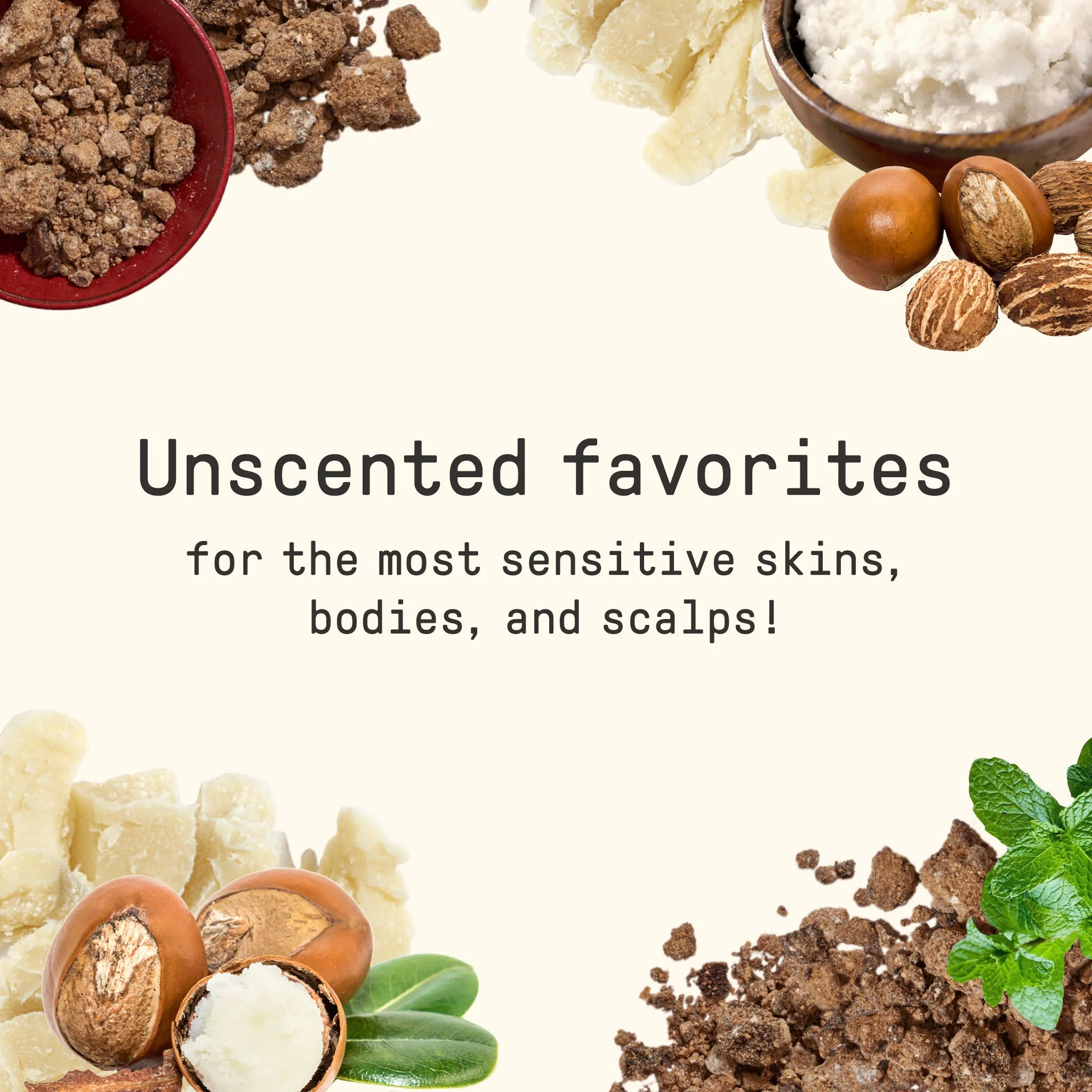 Africa's Secret Multi-Use Balm - Unscented 2 oz - Image 4