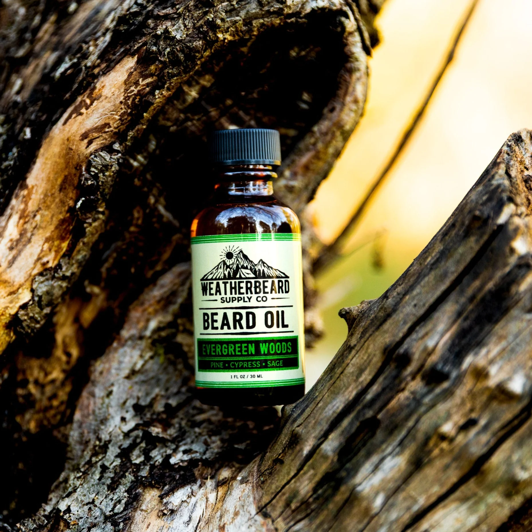 Evergreen Woods Beard Oil - Pine, Cypress, Sage - Image 4