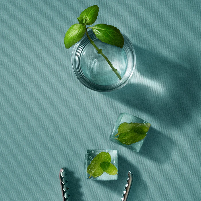 Powder Basil Mint - Image 4