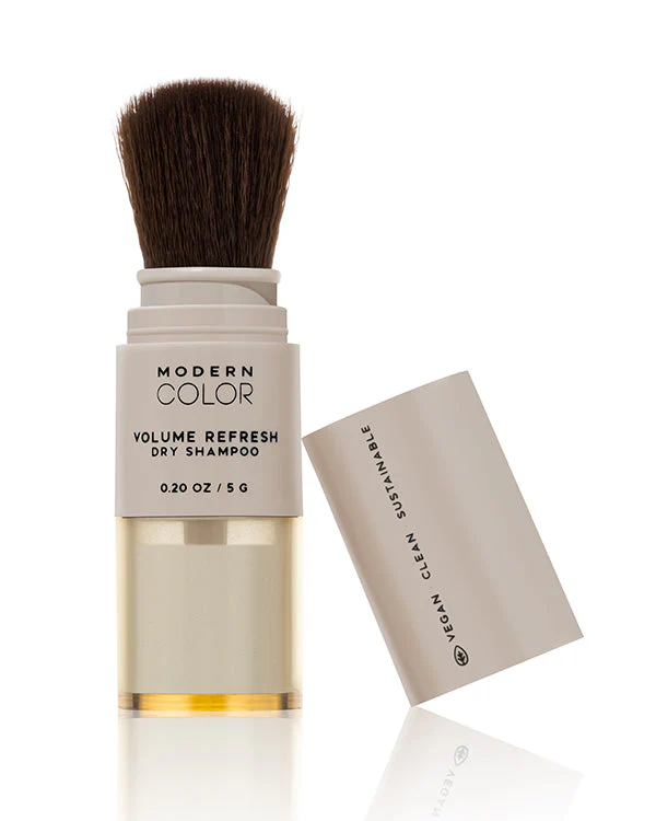 Volume Refresh Dry Shampoo Powder Brush - Image 7